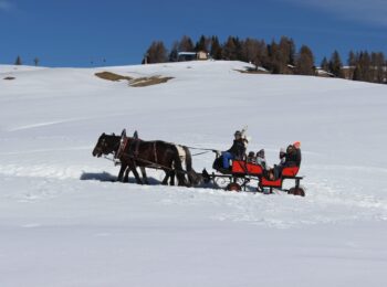 slitta trainata da cavalli sulla nave