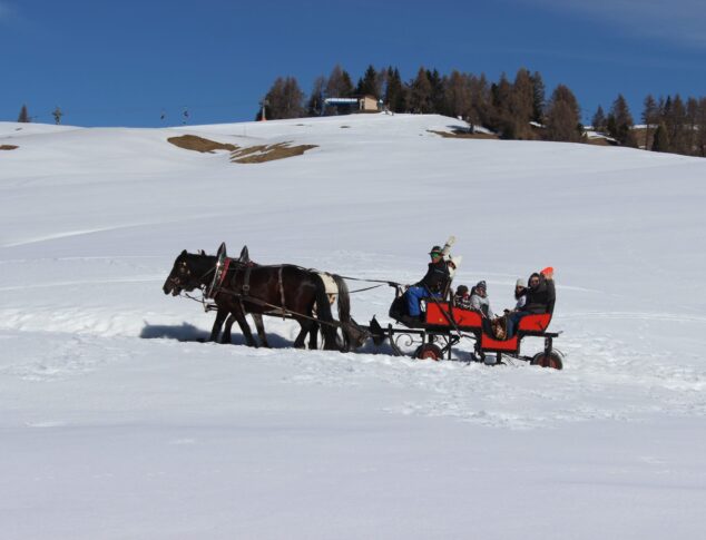 slitta trainata da cavalli sulla nave