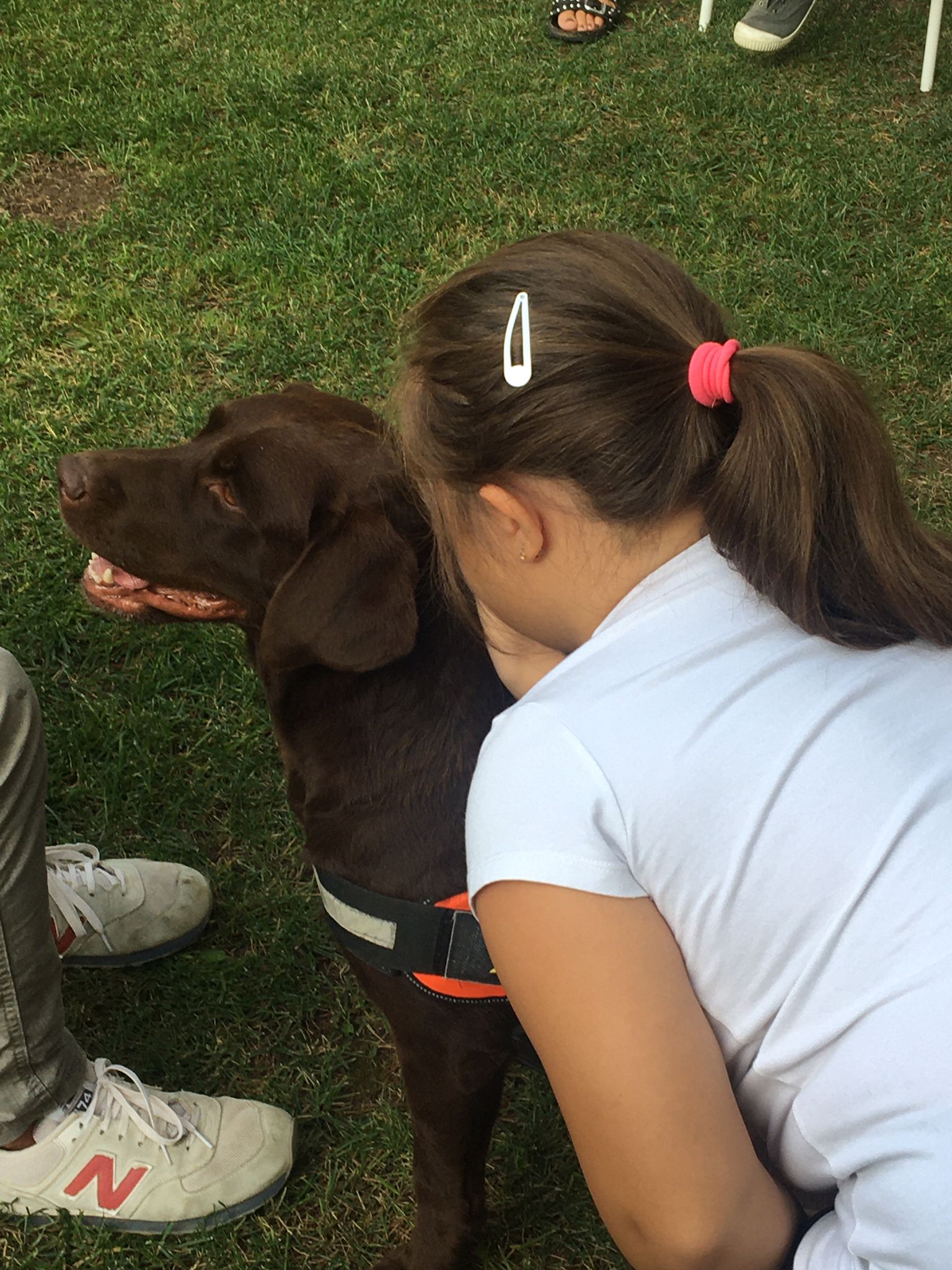bambina che accarezza un cane durante una sessione di pet therapy