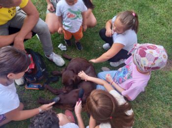 Attività di Pet Therapy per bambini con un cane