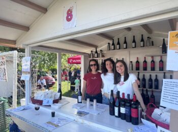 Volontari ABEO Festa dei Vini Classici della Valpolicella 2026
